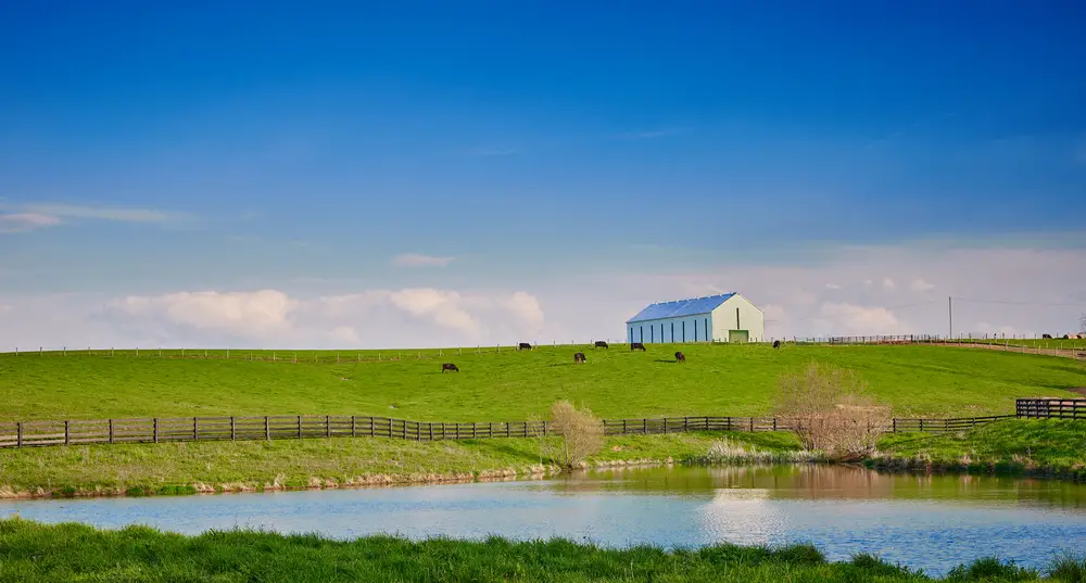 Cattle Farming Image 2