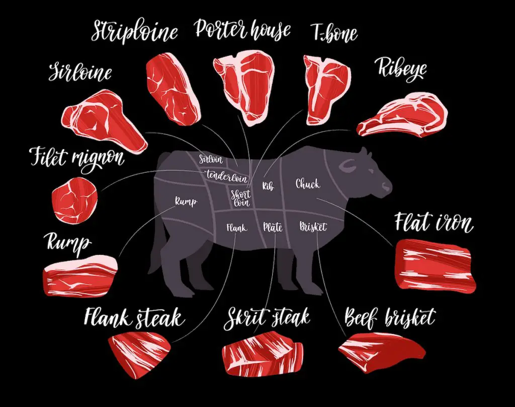 diagram of beef cuts
