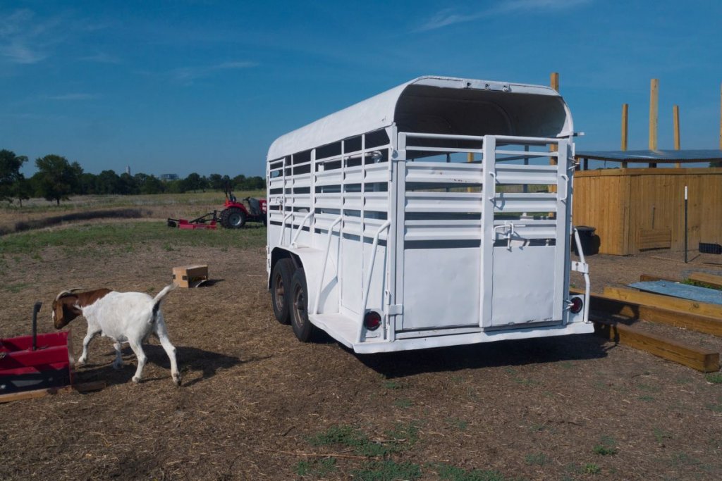 cattle trailer on farm