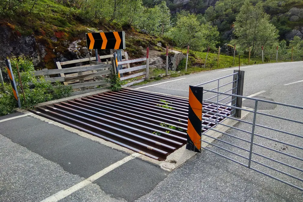 concrete cattle grid