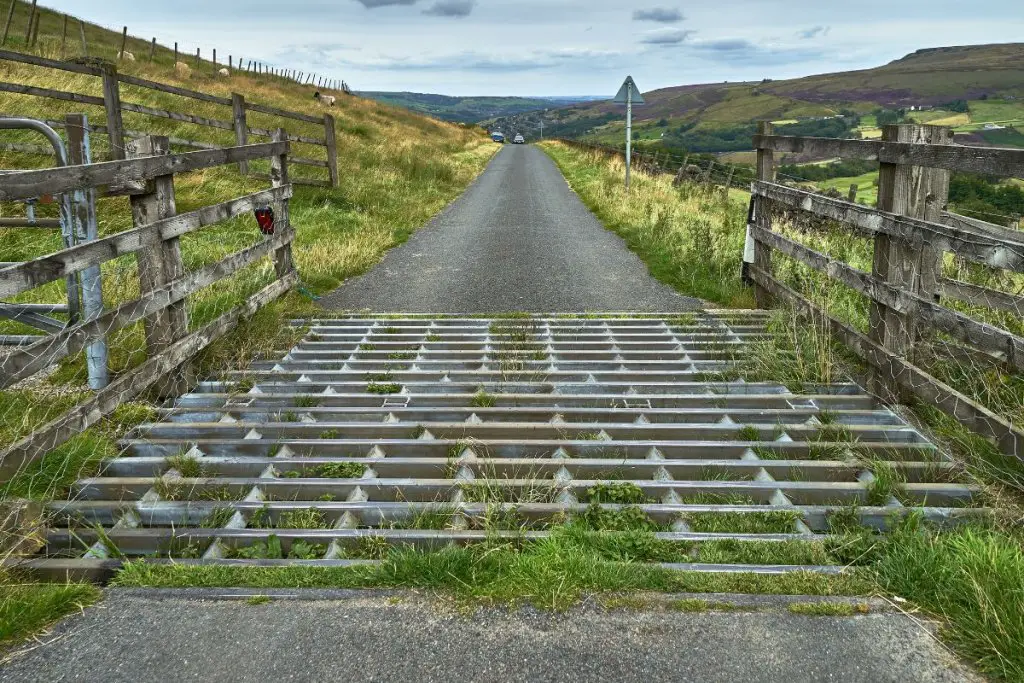 cattle grid with long fencing