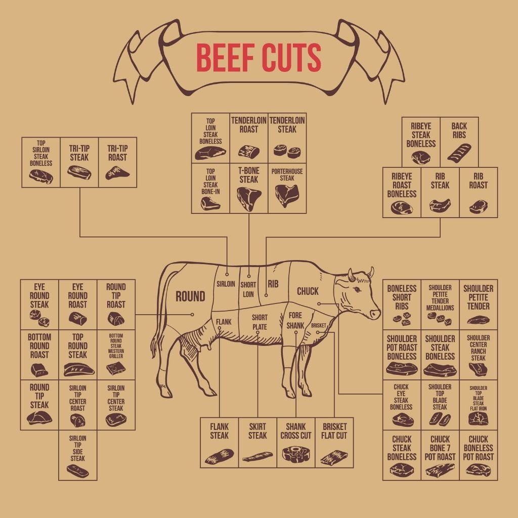 graphic showing the many beef cuts