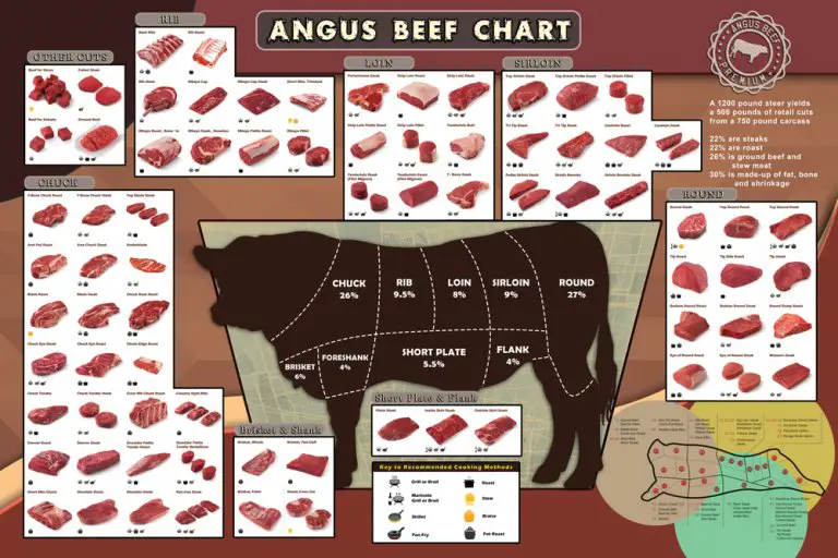 Beef Cuts On A Cow: A Guide For Home Butchering