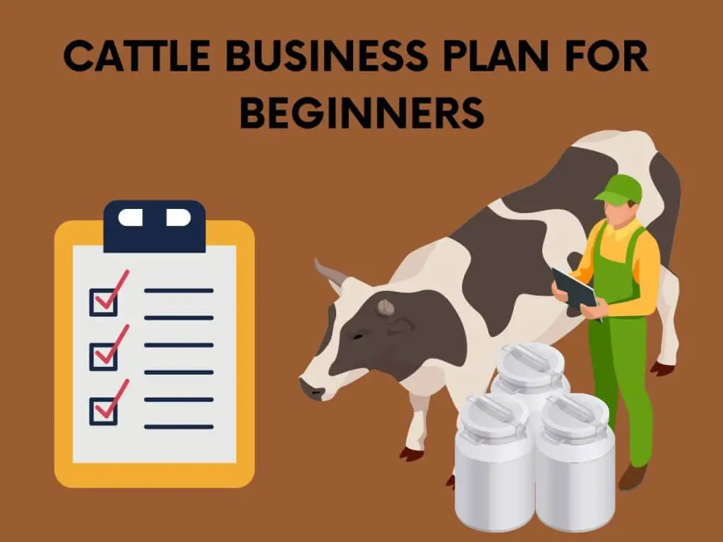 cattle business plan